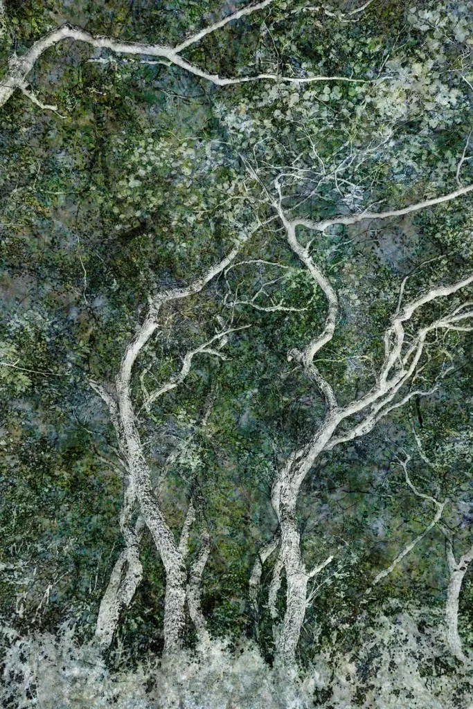 Forest, Photography, Art, Time, Layers