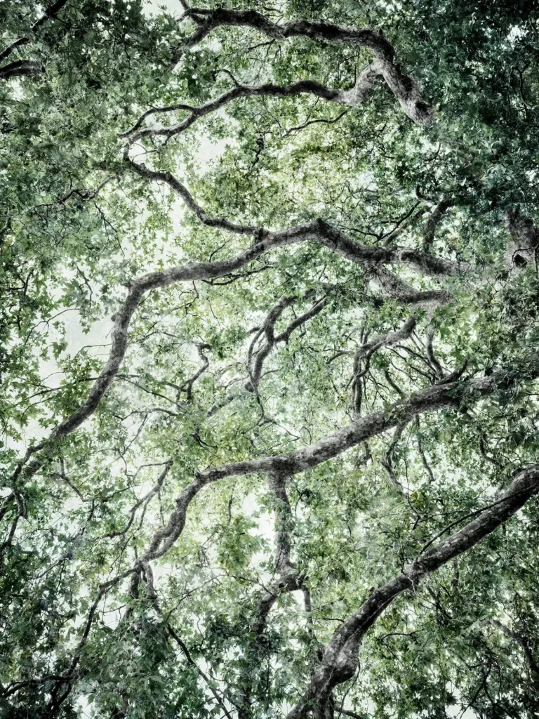 Art, photography, time