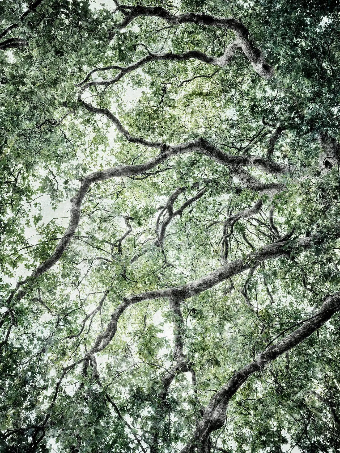 Art, photography, time